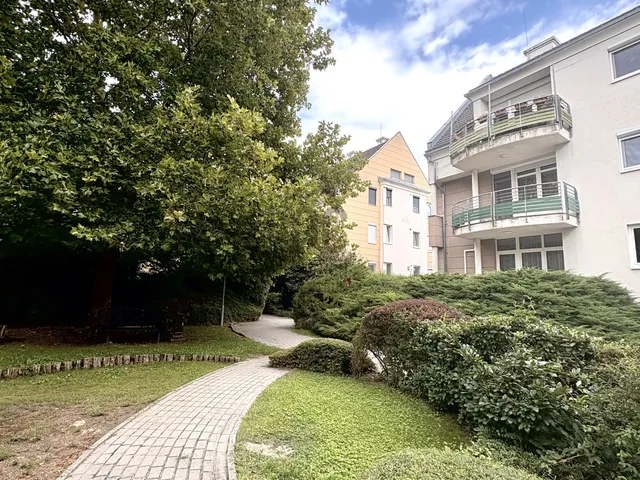Kiadó lakás Budapest III. kerület, Csillaghegy 60 nm