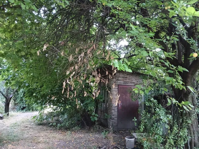 Eladó ház Mosonmagyaróvár 120 nm