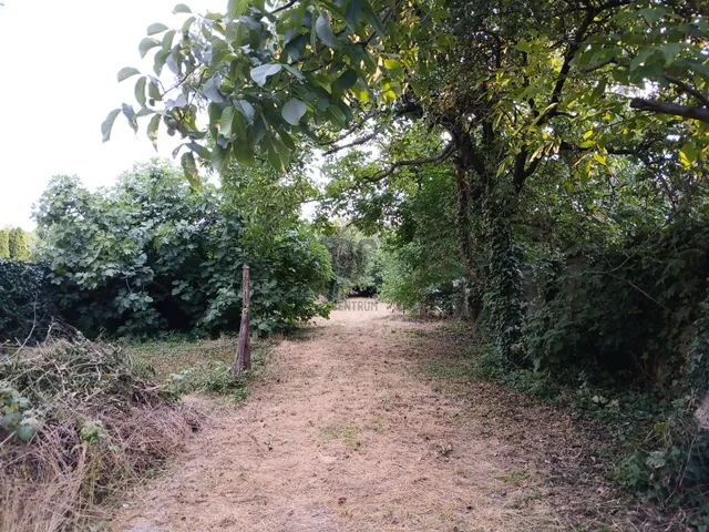 Eladó telek Mosonmagyaróvár 1431 nm