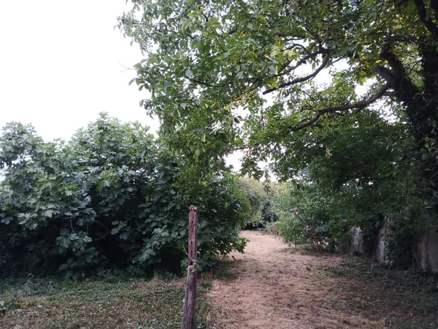 Eladó telek Mosonmagyaróvár 1431 nm