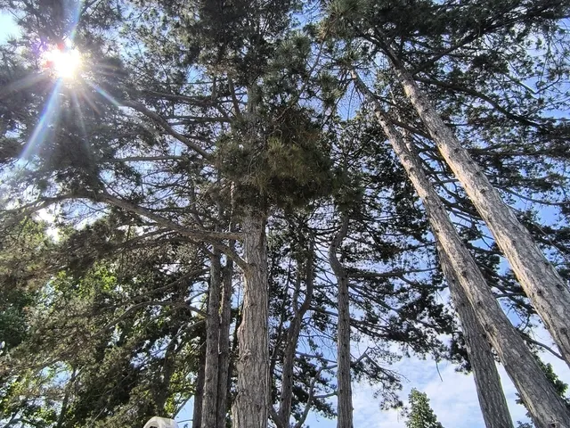 Eladó lakás Siófok, Aranypart 116 nm