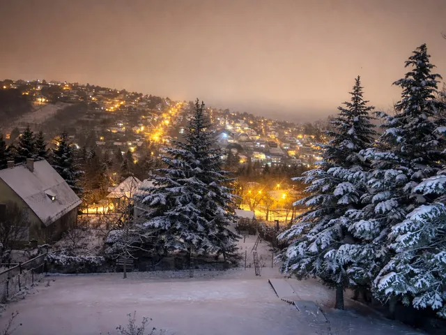 Eladó ház Budapest II. kerület, Adyliget 300 nm