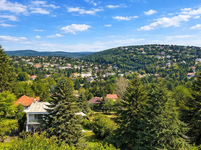 Eladó ház Budapest II. kerület, Adyliget 300 nm