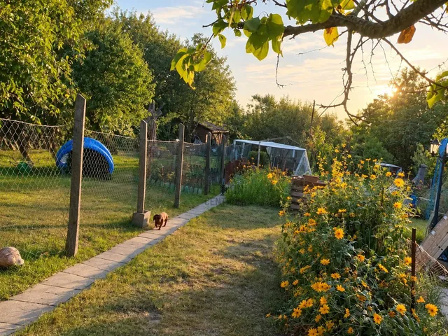 Eladó mezőgazdasági ingatlan Budapest XXIII. kerület, Molnár sziget 263 nm
