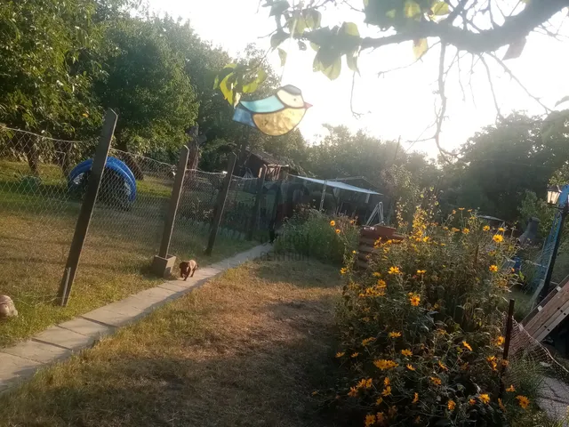 Eladó mezőgazdasági ingatlan Budapest XXIII. kerület, Molnár sziget 263 nm