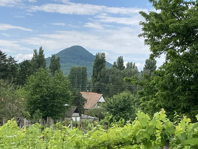 Eladó telek Badacsonytomaj 600 nm