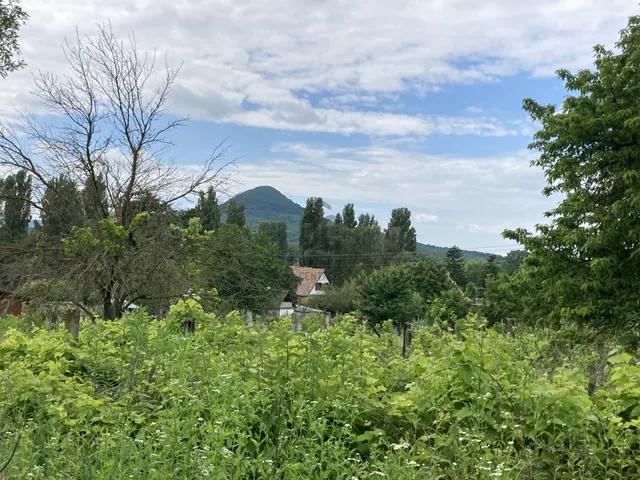 Eladó telek Badacsonytomaj 600 nm