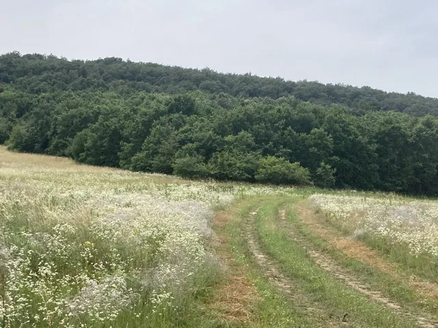 Eladó telek Pilisjászfalu 800 nm