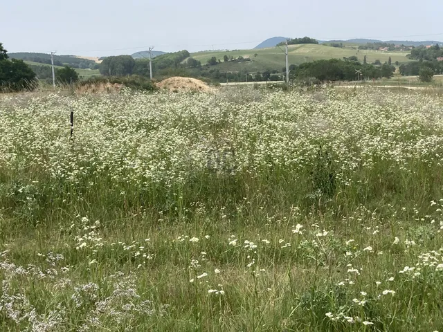 Eladó telek Pilisjászfalu 800 nm