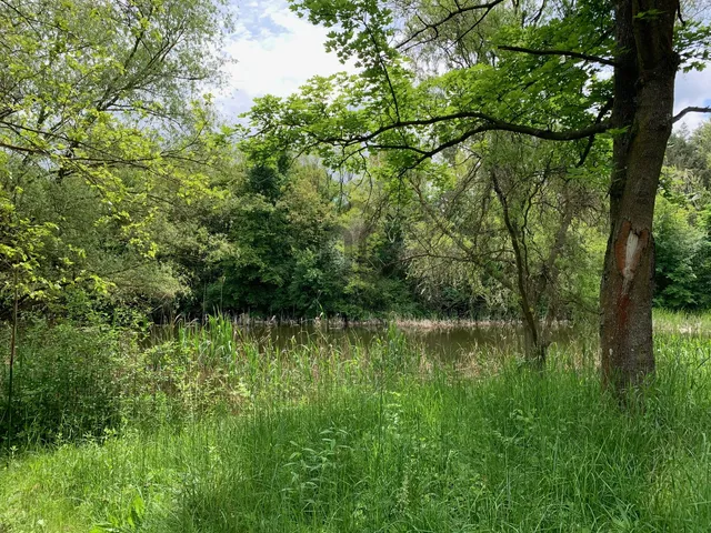 Eladó lakás Úny 55 nm