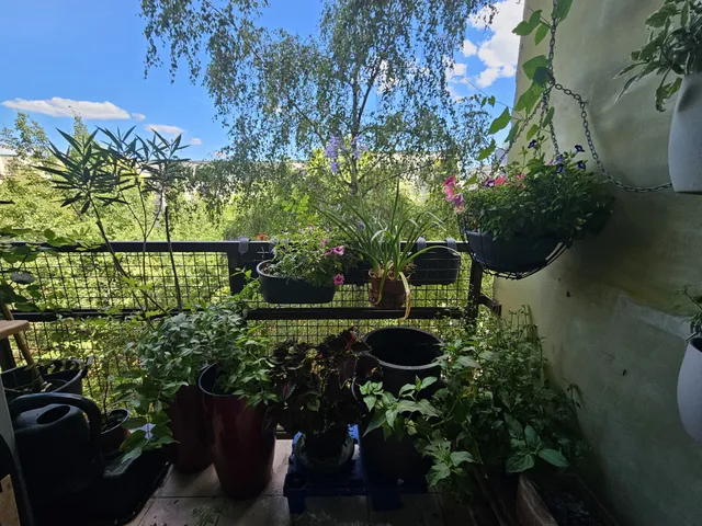 Eladó lakás Budapest XIII. kerület, Angyalföld 68 nm