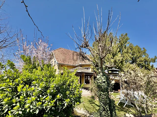 Eladó ház Dunavarsány, Kisvarsány 233 nm