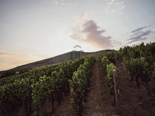 Eladó nyaraló Tokaj 58 nm