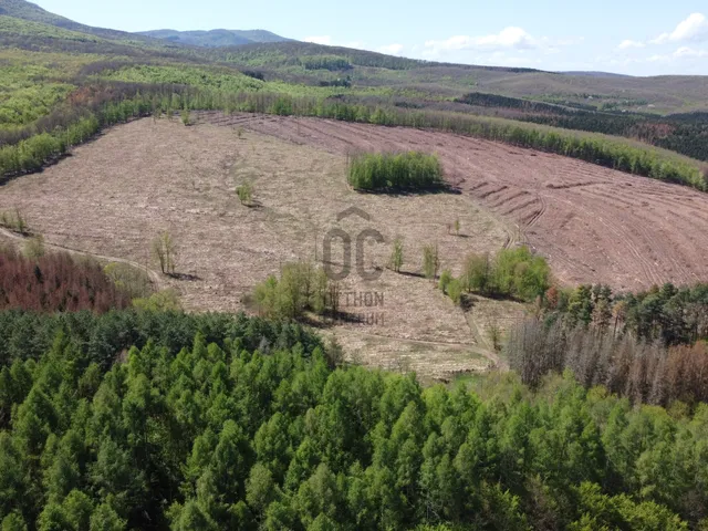Eladó kereskedelmi és ipari ingatlan Bátonyterenye 2500 nm