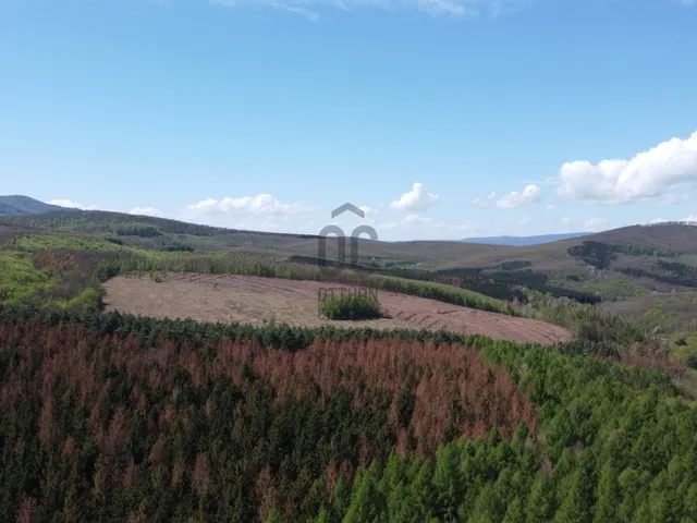 Eladó kereskedelmi és ipari ingatlan Bátonyterenye 2500 nm