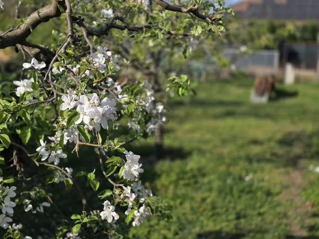 Eladó ház Budapest XVIII. kerület, Ganzkertváros 195 nm