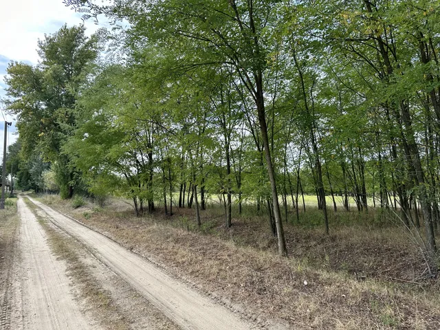 Eladó telek Felsőlajos, Szántó - Erdő 21000 nm