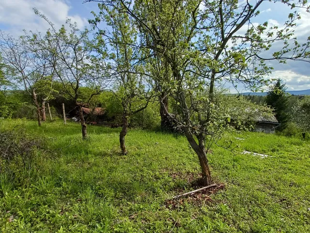 Eladó mezőgazdasági ingatlan Miskolc, Vologda, Bünda dűlő 2728 nm