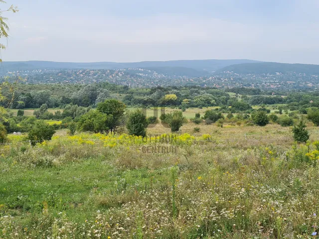 Eladó telek Budapest II. kerület, Gercse 3392 nm
