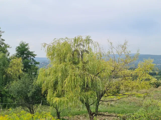 Eladó telek Budapest II. kerület, Gercse 3392 nm