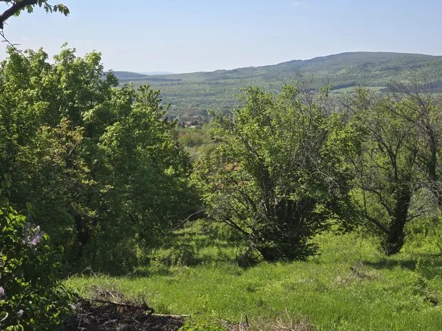 Eladó telek Budakeszi 763 nm