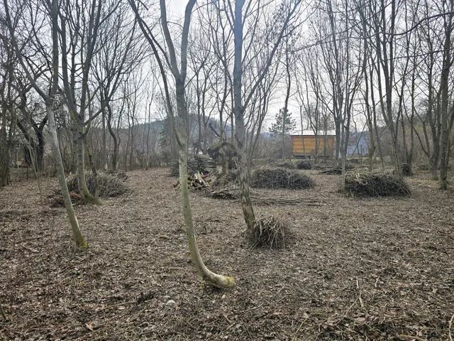 Eladó telek Dunabogdány 978 nm