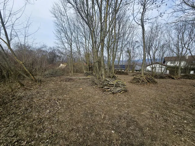 Eladó telek Dunabogdány 978 nm