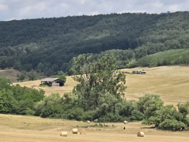 Eladó mezőgazdasági ingatlan Aszód 2794720 nm