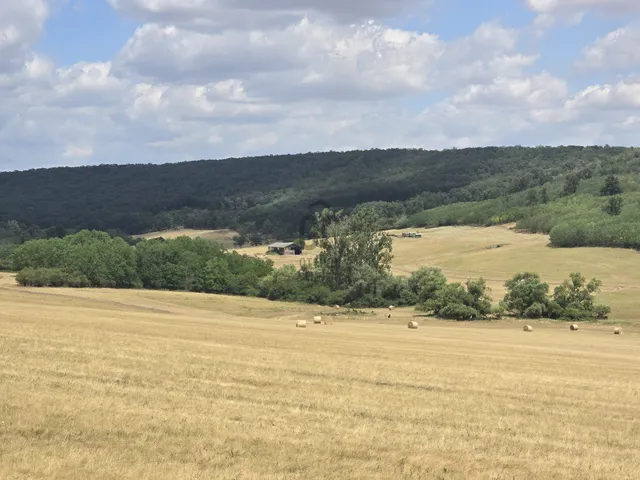 Eladó mezőgazdasági ingatlan Aszód 2794720 nm