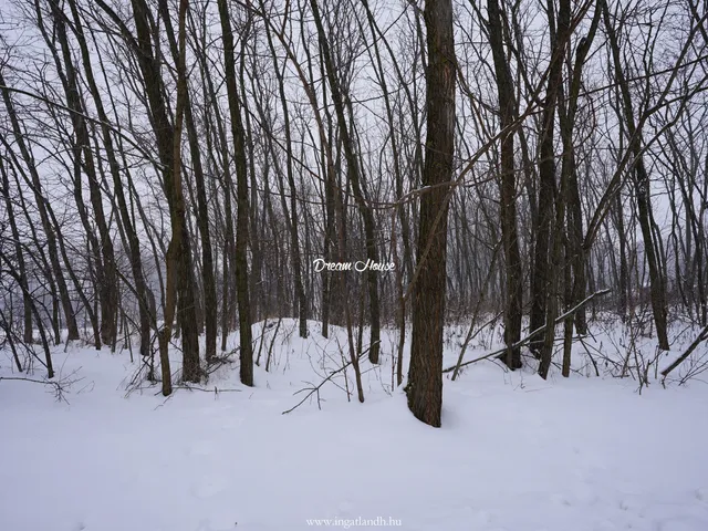 Eladó telek Nyíregyháza, Felsőpázsit 2885 nm