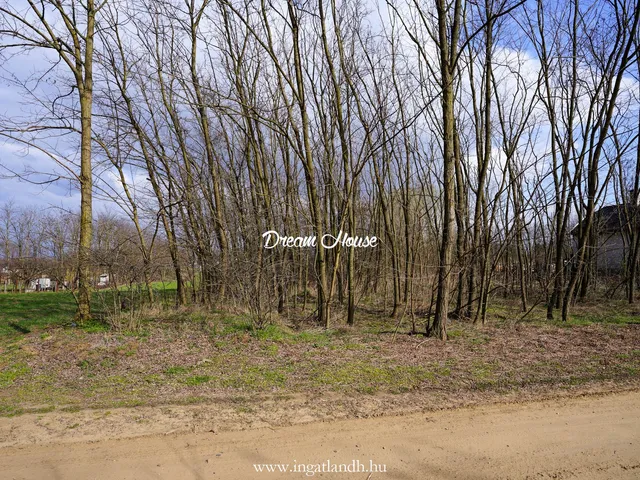 Eladó telek Nyíregyháza, Felsőpázsit 2885 nm