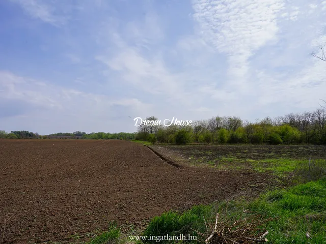 Eladó telek Nyíregyháza, Korányi-kertváros 1536 nm