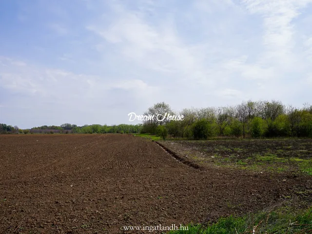 Eladó telek Nyíregyháza, Korányi-kertváros 1536 nm