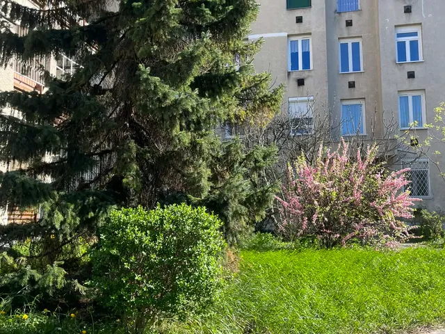 Eladó lakás Budapest XXI. kerület, Erdősor 68 nm