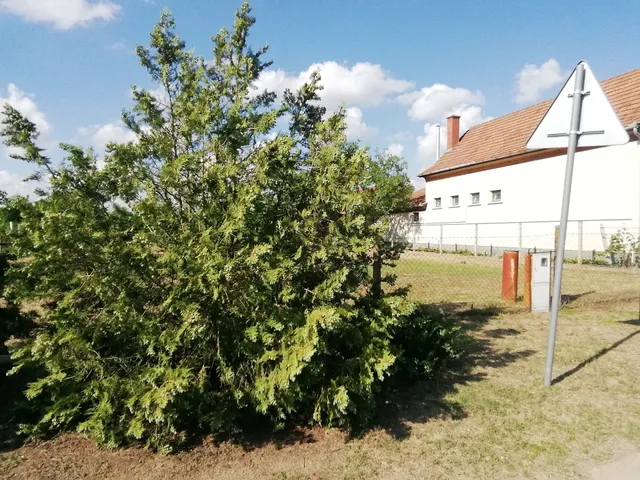 Eladó telek Nyársapát 900 nm