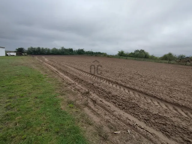 Eladó mezőgazdasági ingatlan Nagykőrös 2471 nm