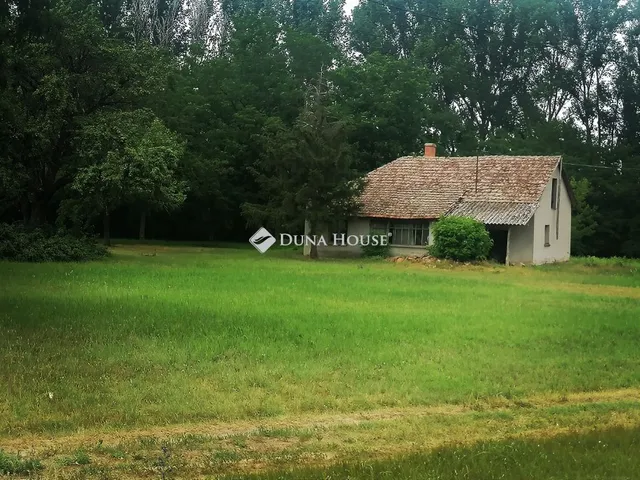 Eladó mezőgazdasági ingatlan Csongrád 696 nm