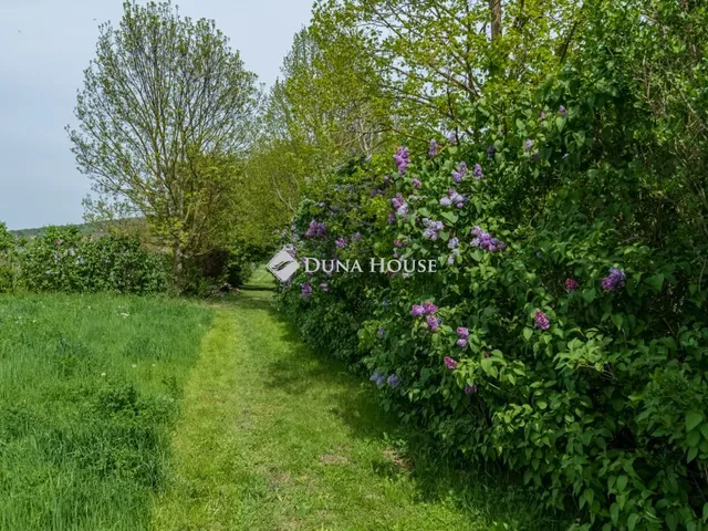 Kiadó ház Budakeszi 150 nm