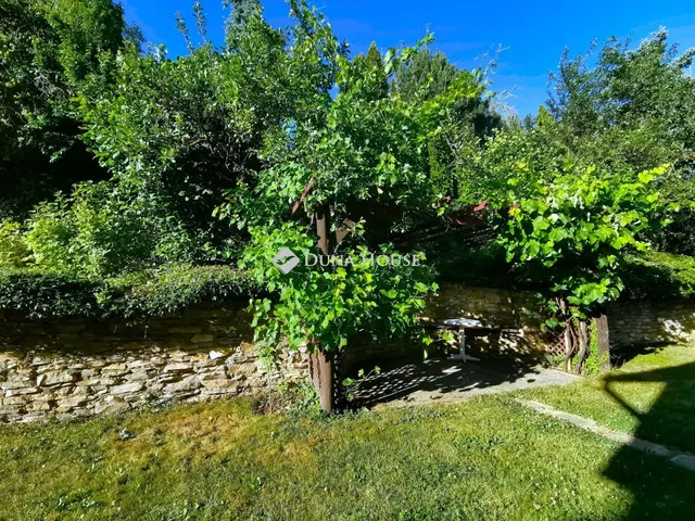 Kiadó ház Budakeszi 150 nm