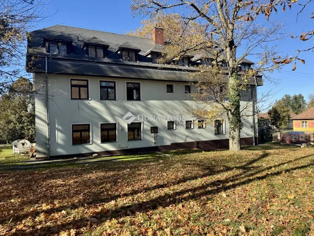 Eladó kereskedelmi és ipari ingatlan Pacsa 800 nm