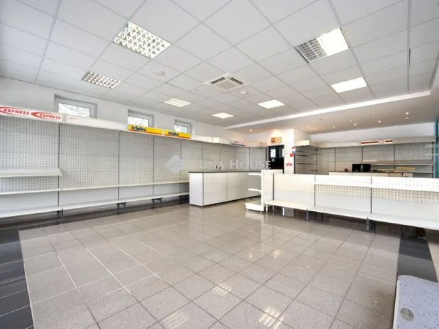 Kiadó kereskedelmi és ipari ingatlan Budakeszi 98 nm