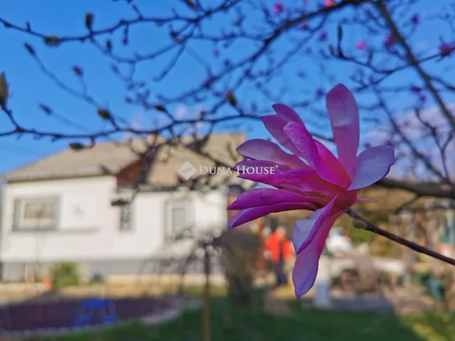 Eladó ház Budakeszi 60 nm