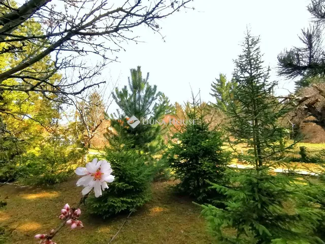 Eladó telek Budakeszi 971 nm