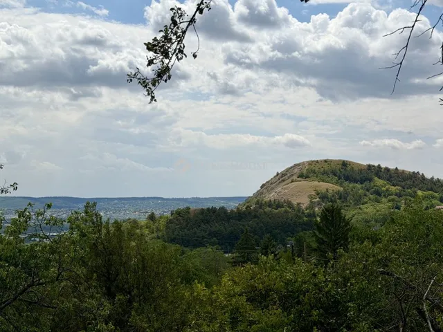 Eladó telek Budaörs 290 nm