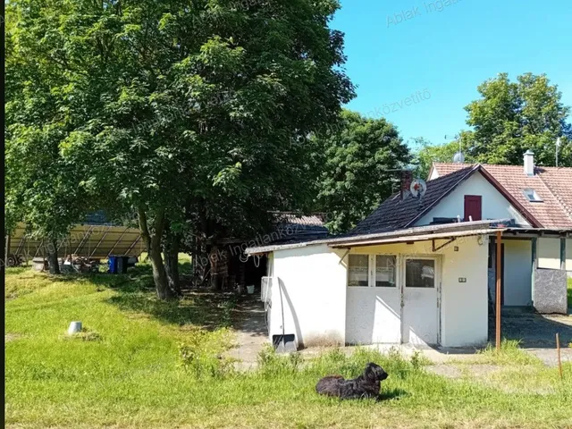 Kiadó ház Kecskemét, Hetényegyháza 70 nm