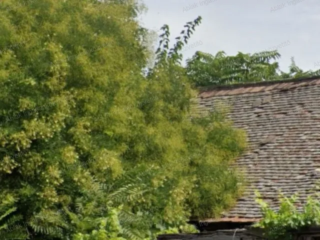 Eladó telek Kecskemét, Belváros 140 nm