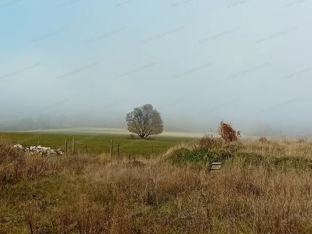 Eladó kereskedelmi és ipari ingatlan Füzér 150 nm