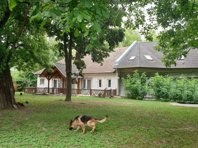 Eladó ház Kecskemét 230 nm