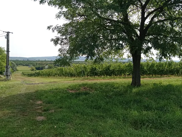 Eladó mezőgazdasági ingatlan Balatonlelle 48377 nm
