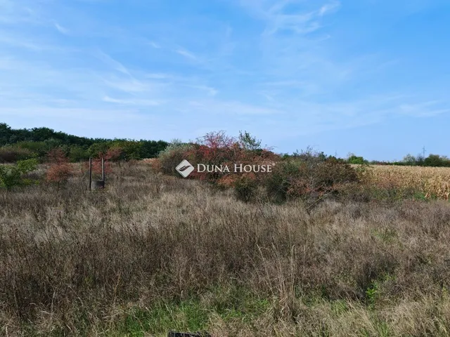 Eladó telek Délegyháza 800 nm